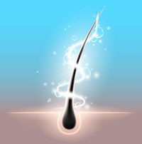 Promotes Hair Growth