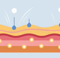 Boosts Collagen Production