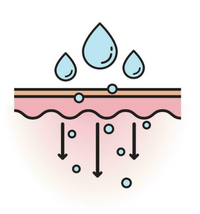 Maximizes Product Absorption